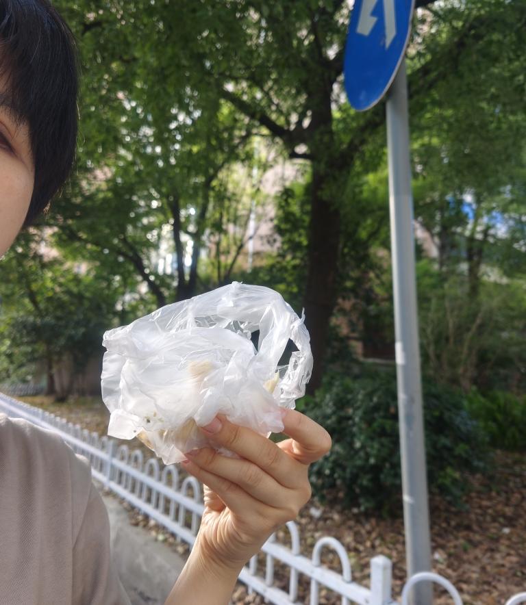 黄皮肤的白人饭 (饮食笔记2025)