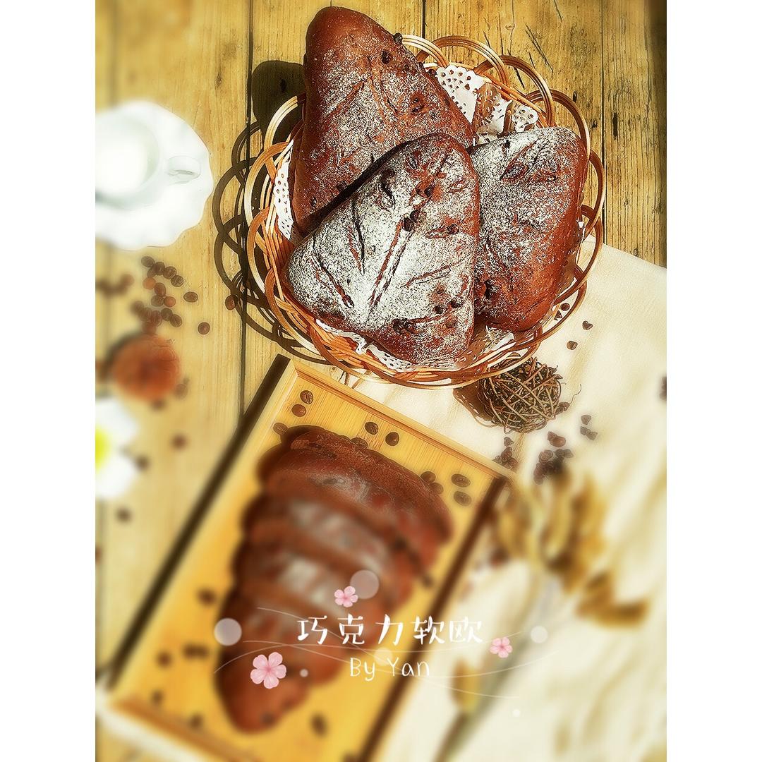 巧克力蔓越莓软欧