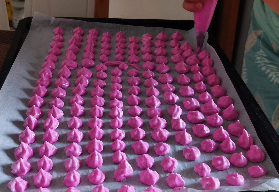 自制_烘干机，烤箱都可以做的 各种果蔬_酸奶溶豆