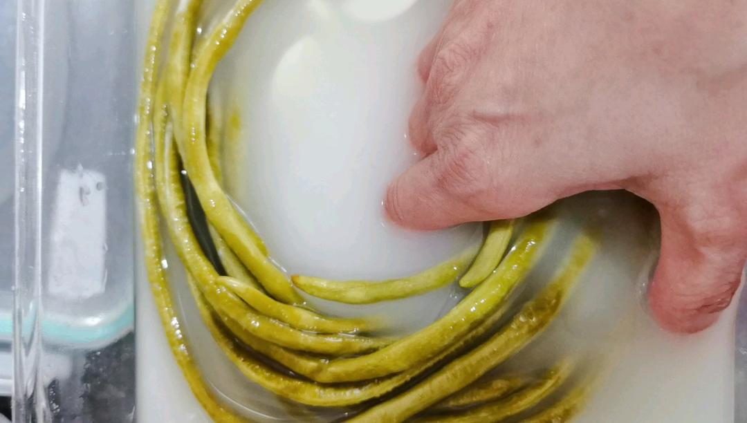 自制零添加酸豆角