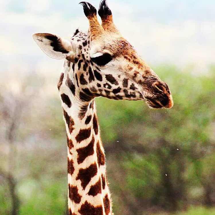 手机用户9683_5bz9