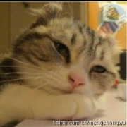 柚子妈就是猪叽叽