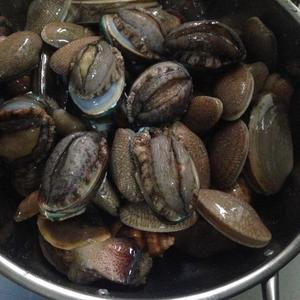 韩式煮贝壳的做法 步骤1