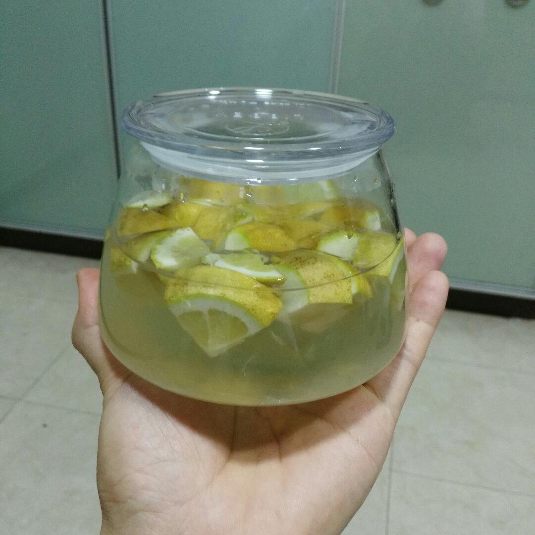 自制宠物-天然柠檬酵母