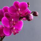 时间煮雨-海水咸的的厨房