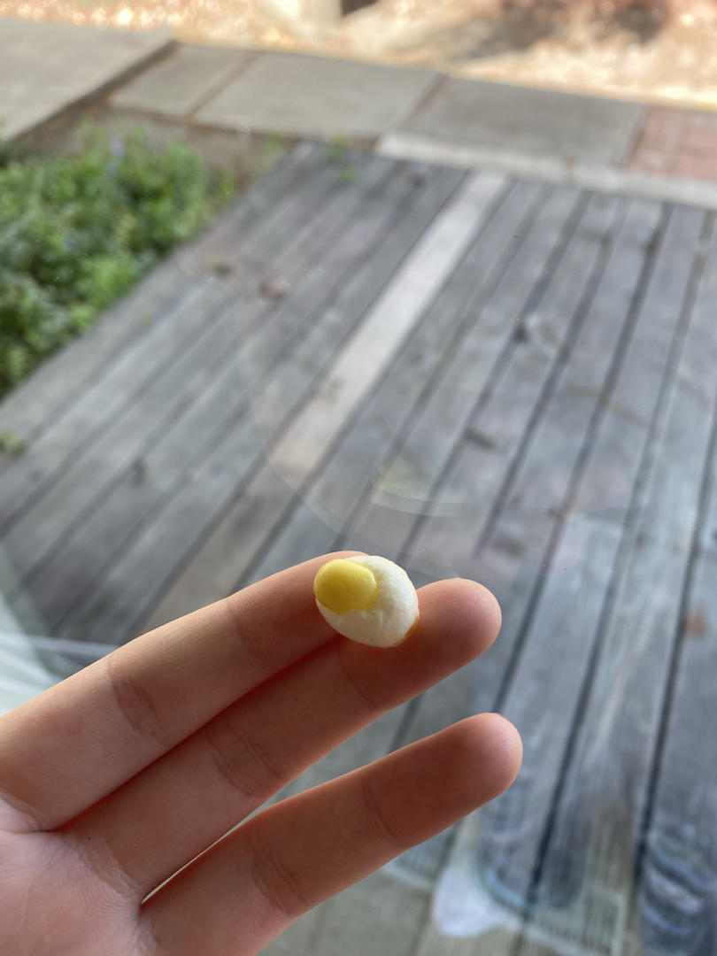 入口即化的无添加蛋黄溶豆