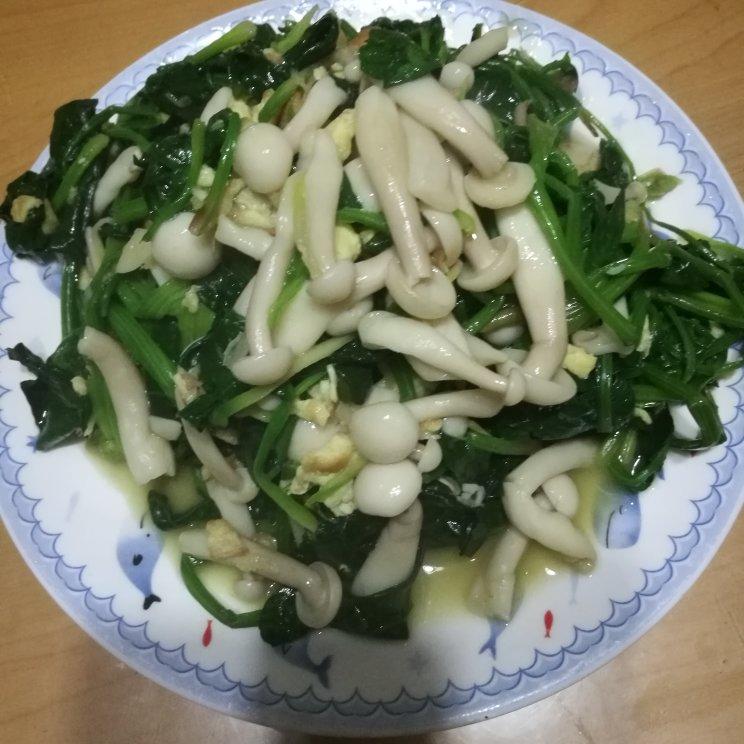 果仁菠菜