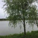 手机用户8717_bl9k