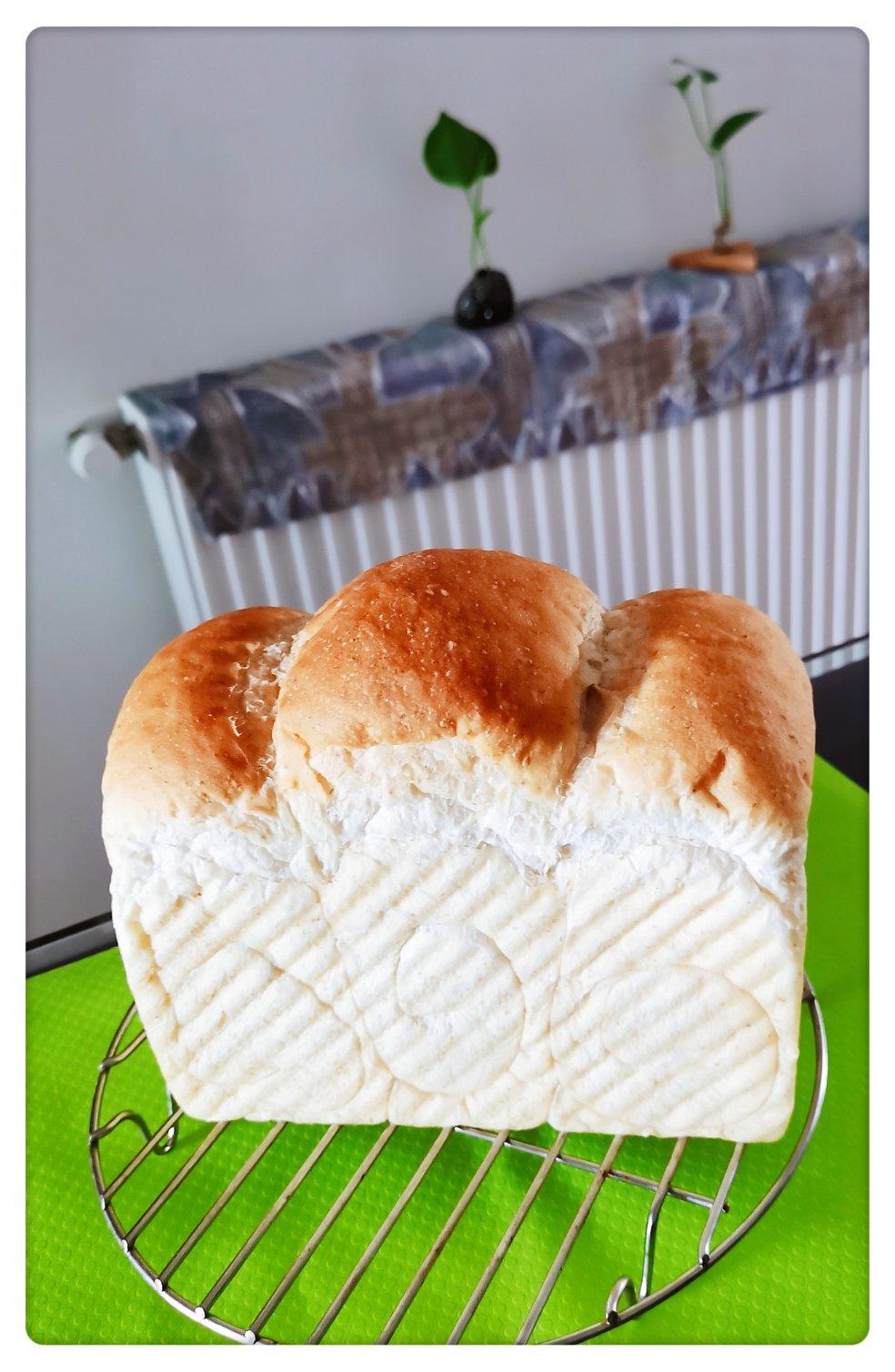 全麦吐司（70%冷藏中种法）