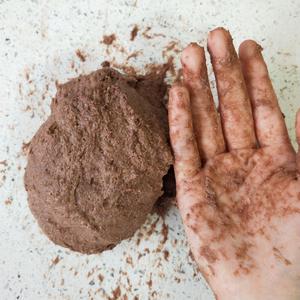 不用机器超快速揉出手套膜，只发酵一次[全麦可可小餐包]（巧克力夹心）的做法 步骤4