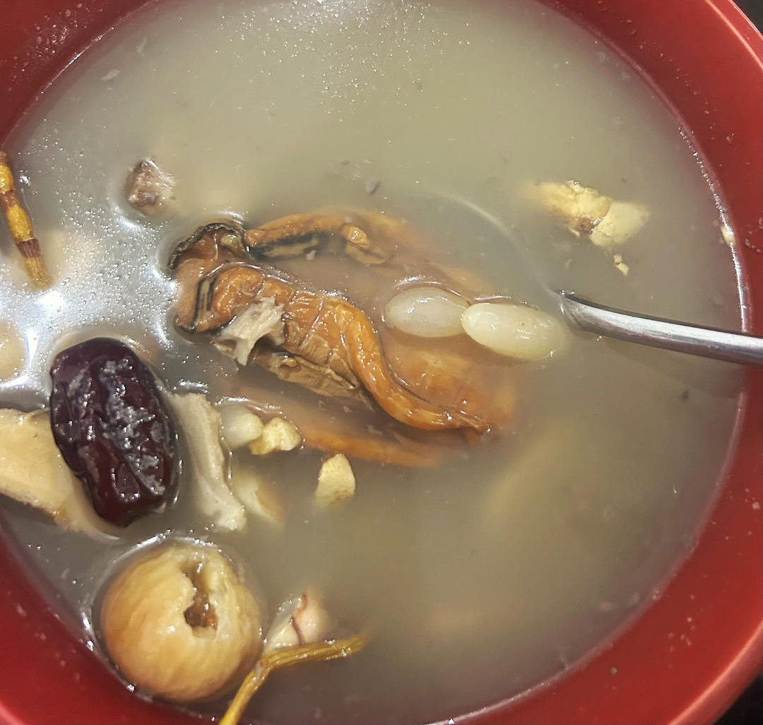 排骨生蚝干汤（老人 孕妇 小孩）补锌汤