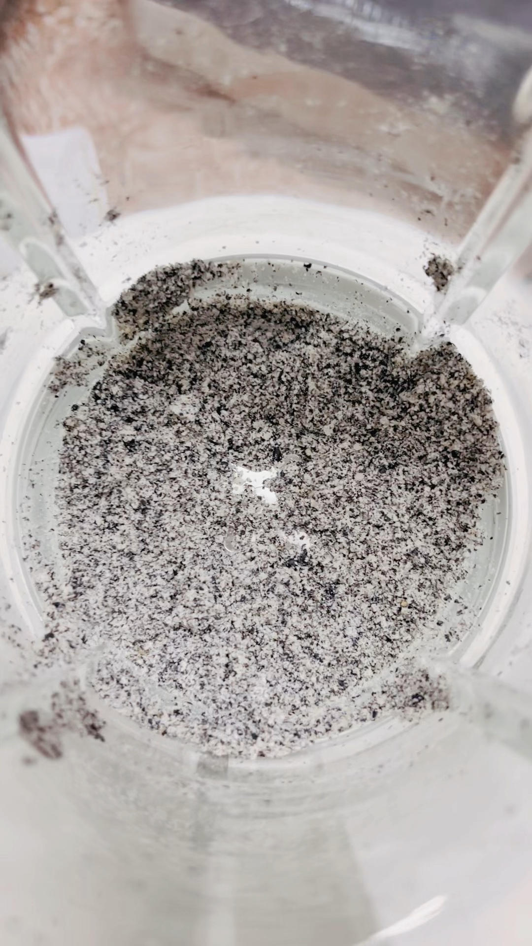 黑芝麻粉不出油的小技巧❣️