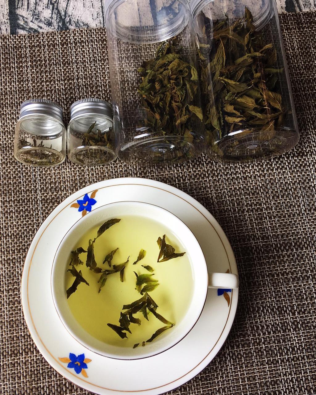 自制薄荷茶～清凉解暑