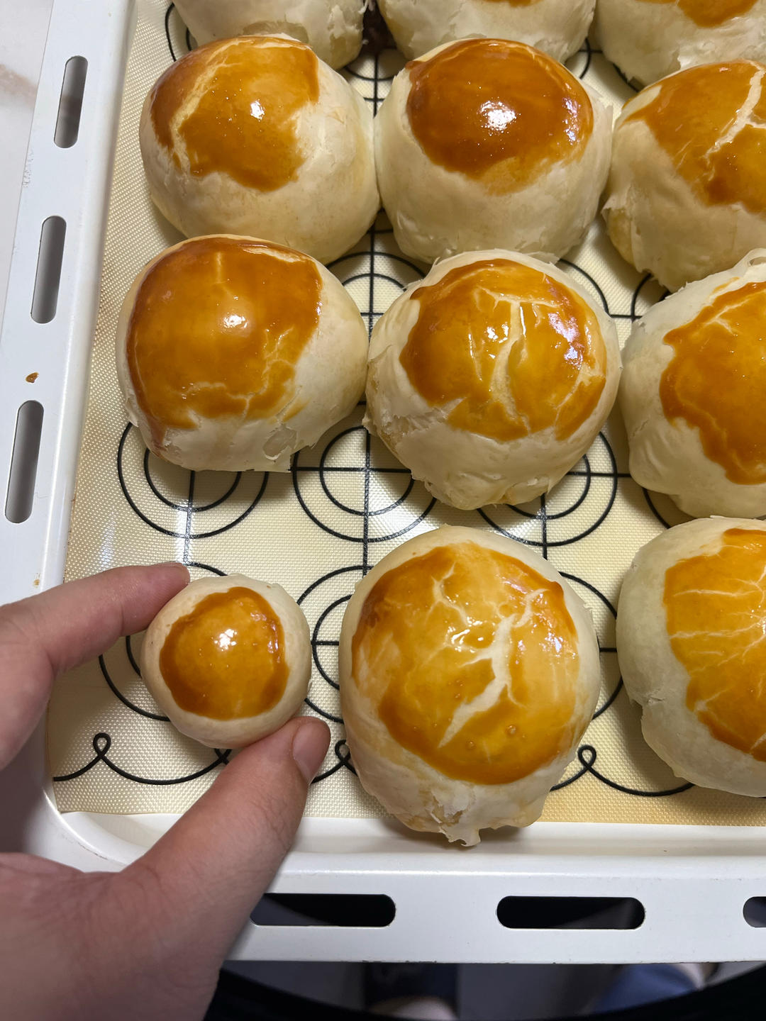 超简单 免揉 酥掉渣的蛋黄酥(超详细附全程视频)不破酥『万能酥皮』