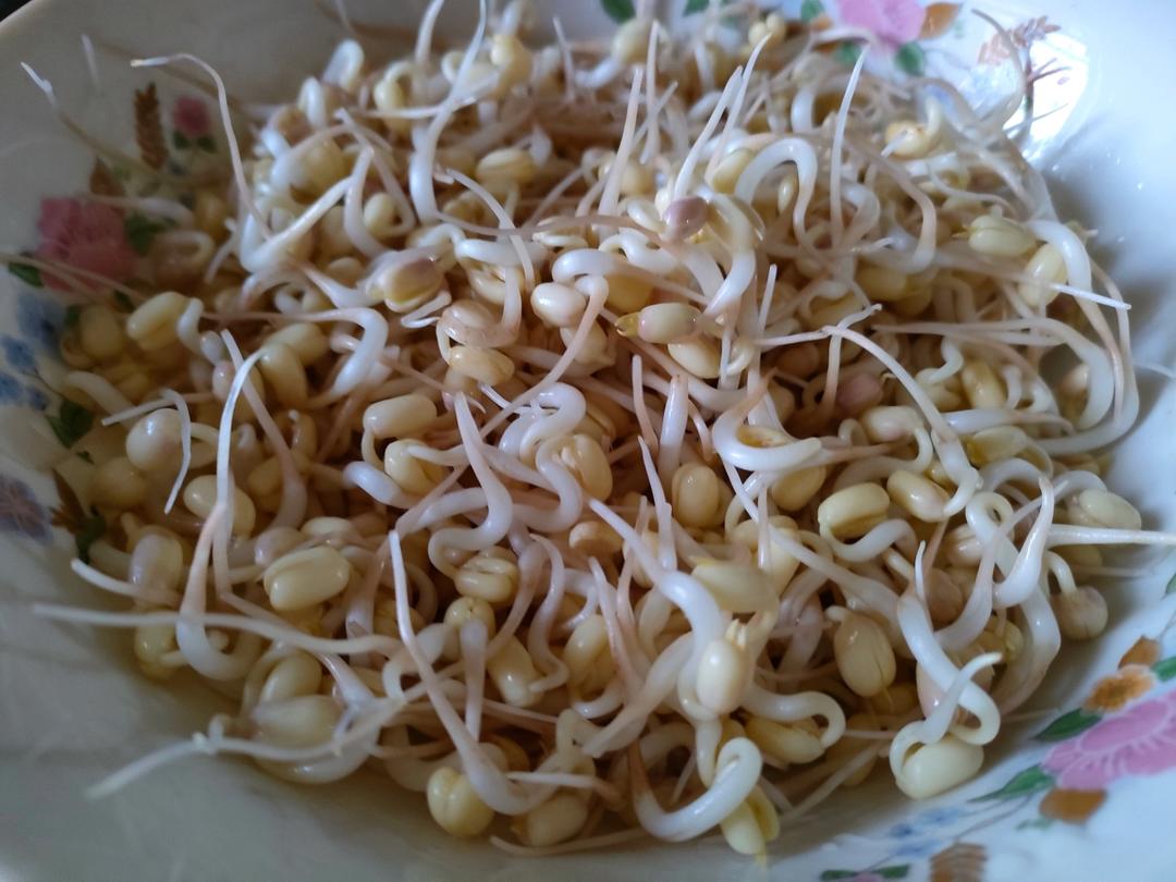 用最简单的办法发绿豆芽