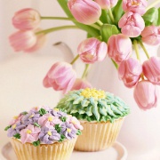 不停败家的角落