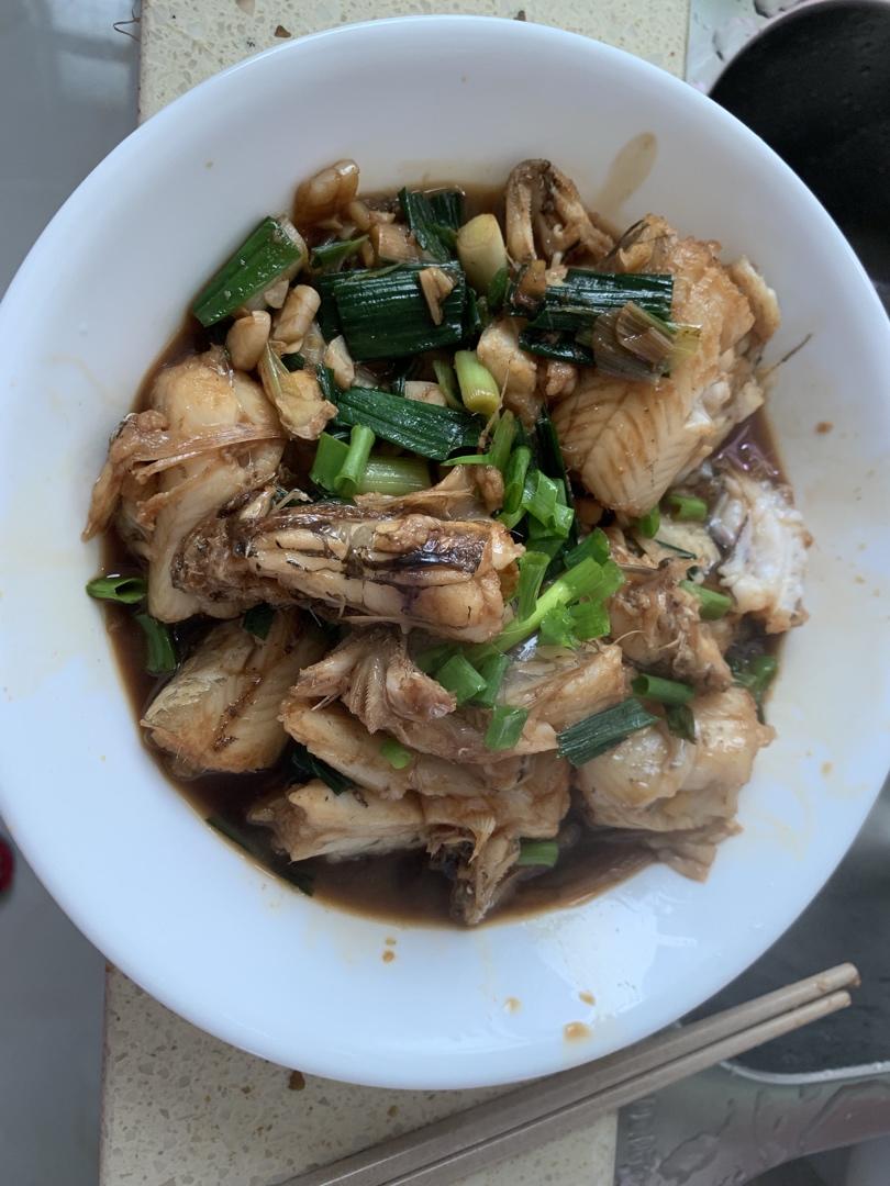 爸爸爱的龙头鱼