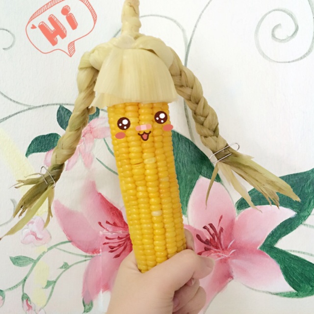 用玉米棒做动物的手工图片