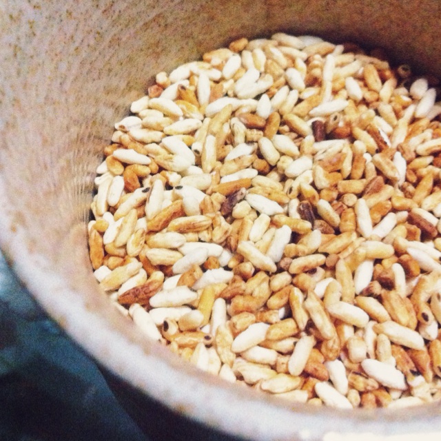 炒米—香香脆脆就是你