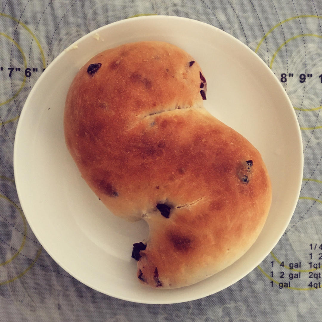 面包店里的常客——蔓越莓奶酪软欧