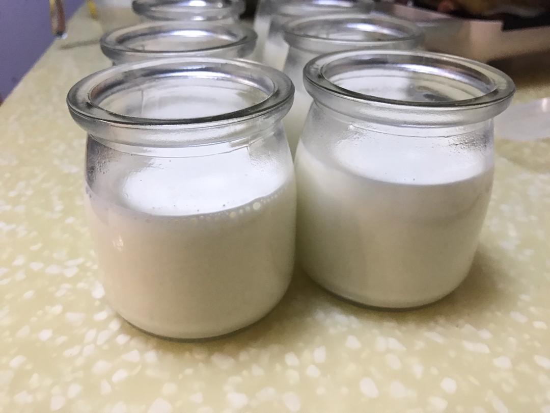 自制无添加酸奶