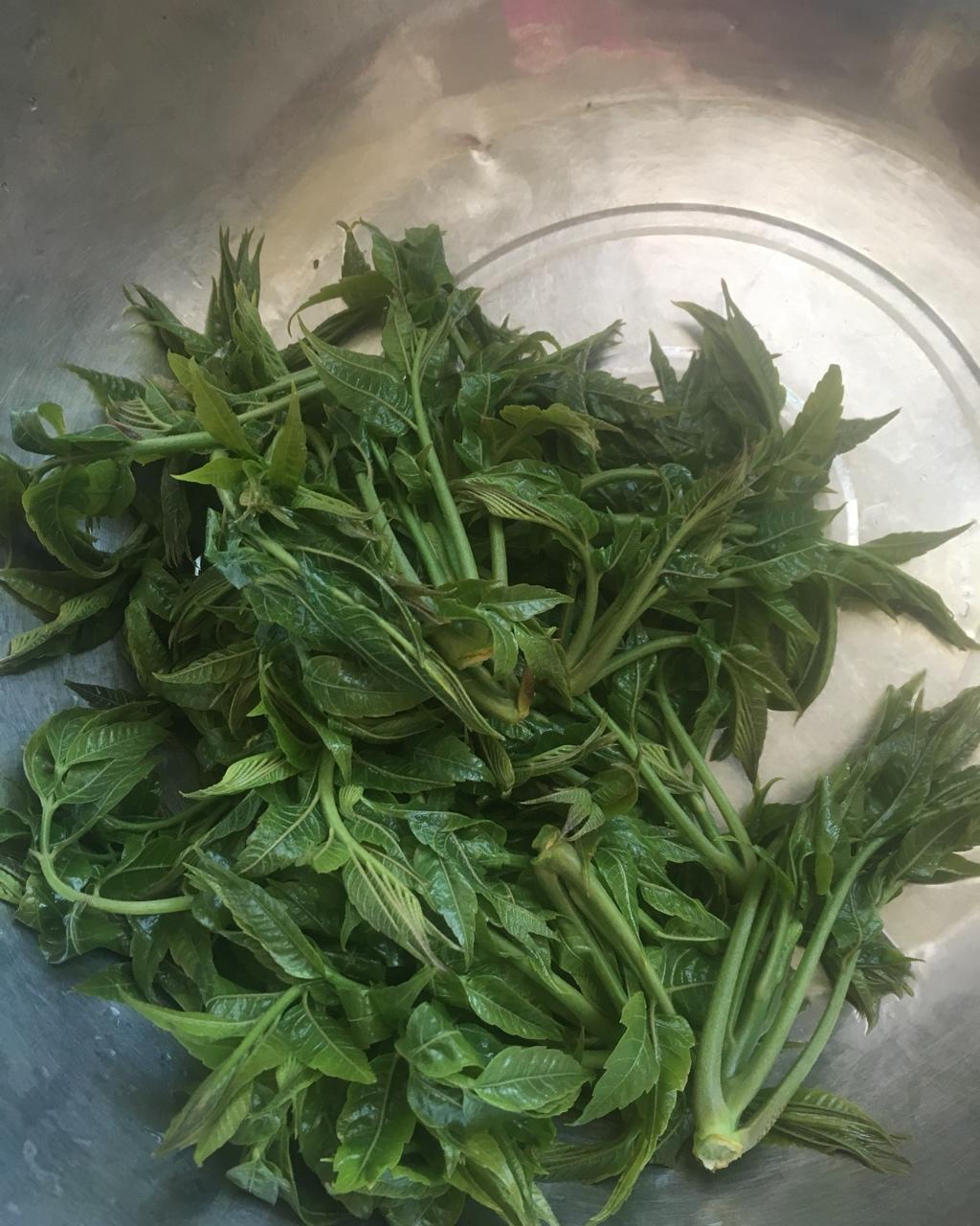 香椿炒鸡蛋