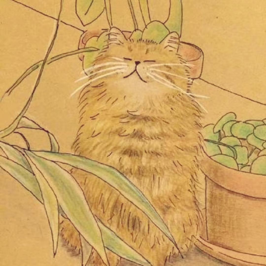 喵喵猫猫毛毛