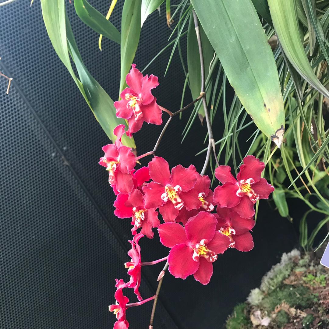 下厨房用户_3lgb