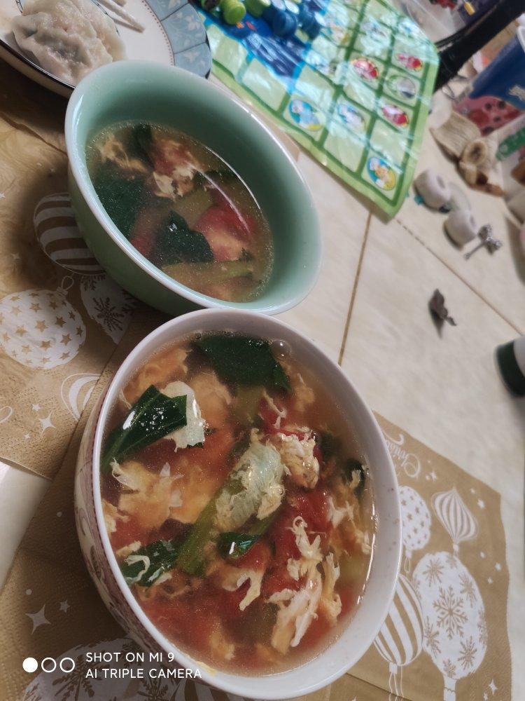 西红柿青菜鸡蛋汤
