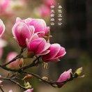 手机用户5599_43yk