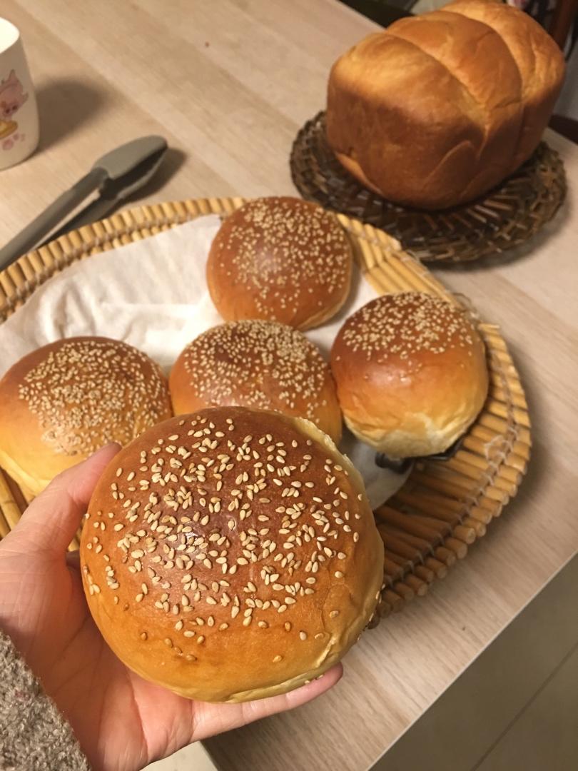 汉堡胚 poolish（波兰种）