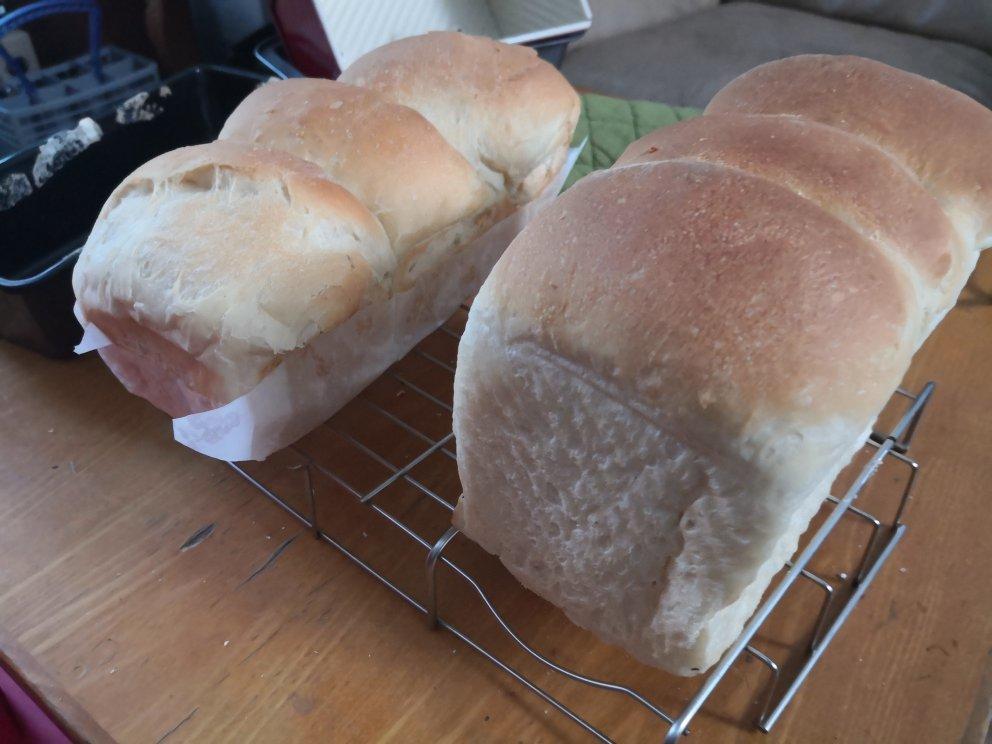 中种日式生吐司(玛捷斯)