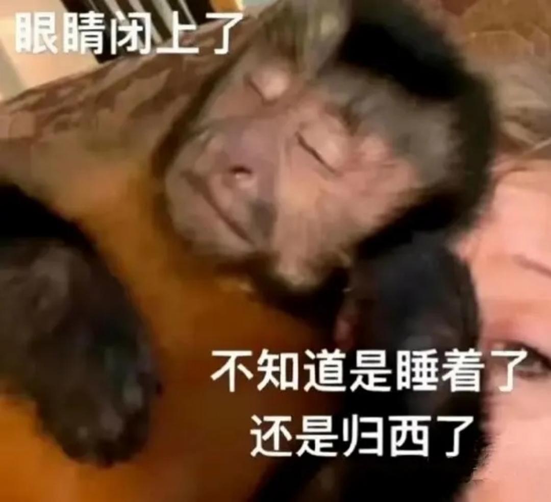 少花就是省