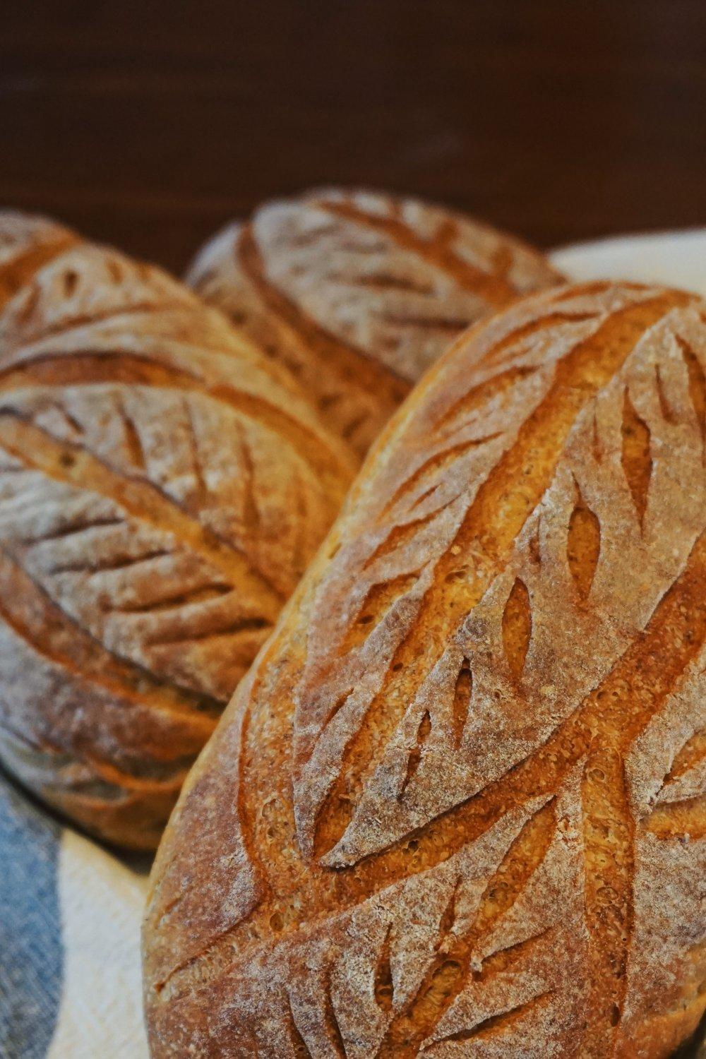 【Sourdough】天然酵种红薯欧包（附不同割包刀片使用体会）