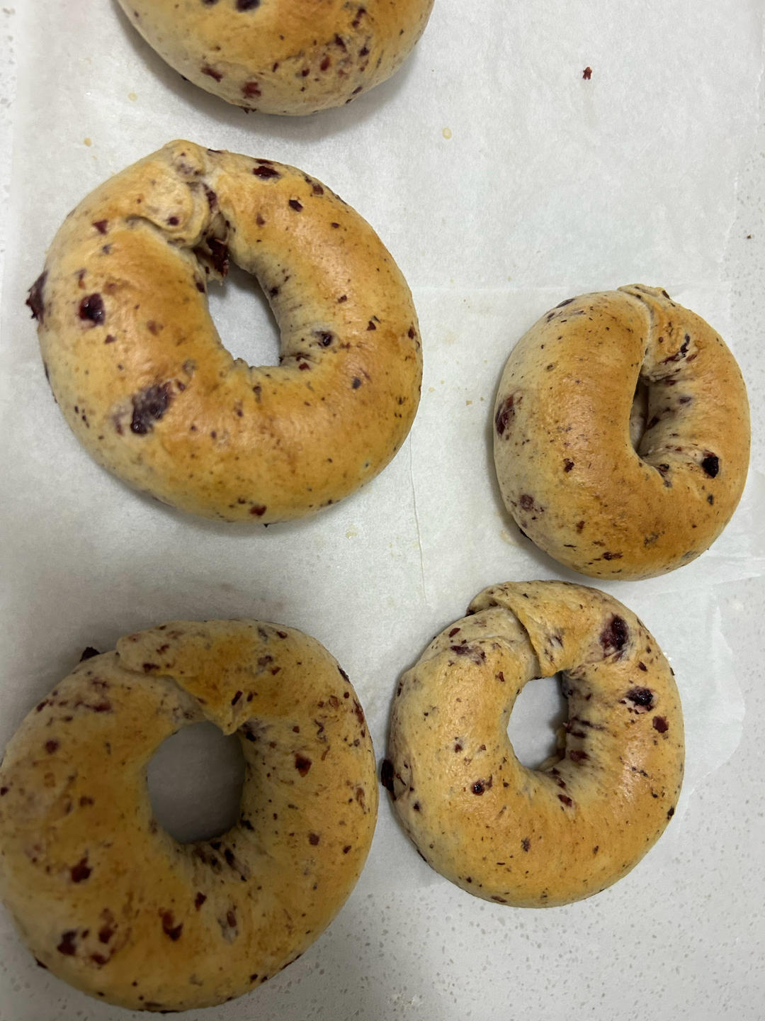 来吃圈圈吧！——全麦蔓越莓贝果