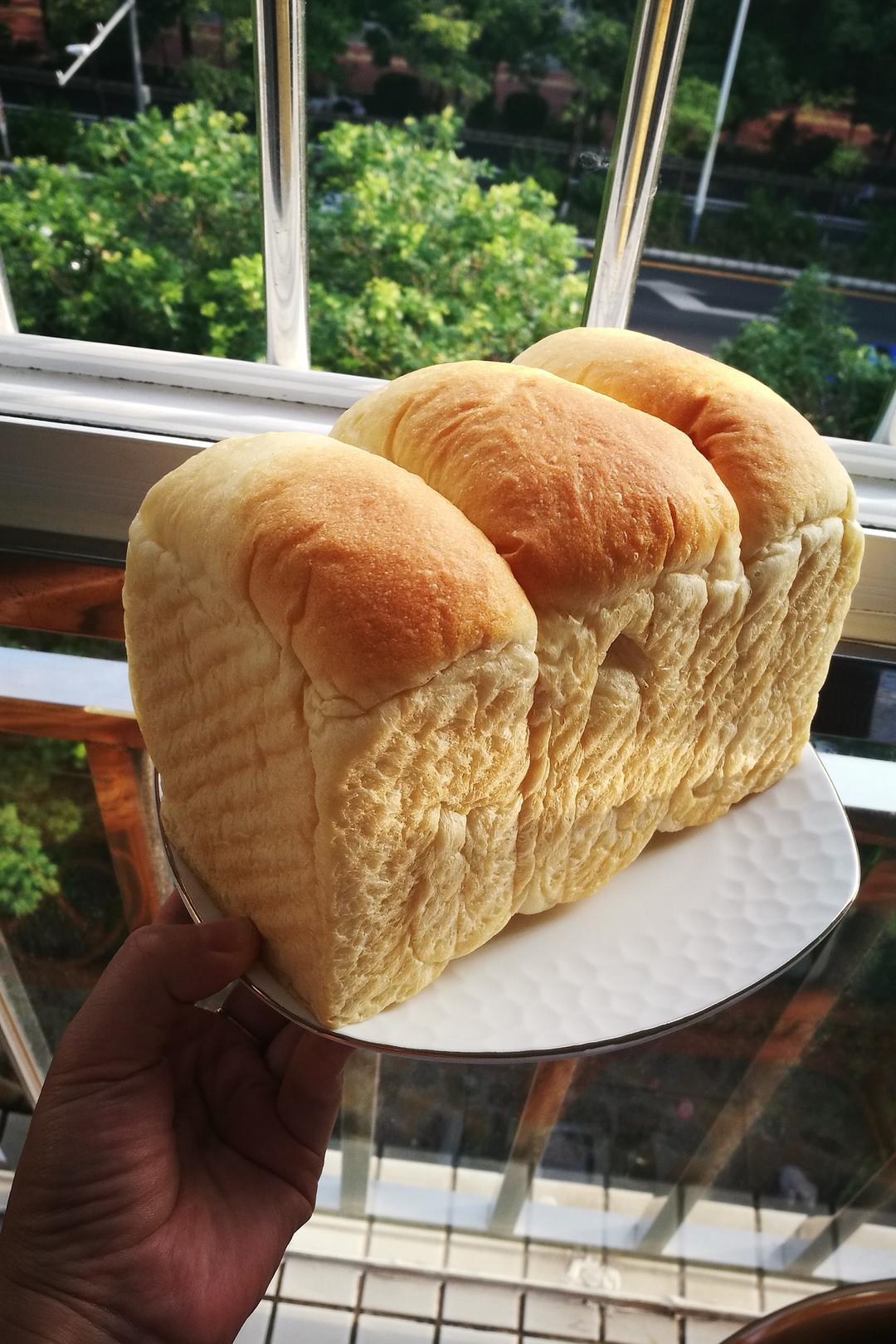 夺命软吐司(๑´ڡ`๑)超软拉丝极速方便的一次发酵吐司