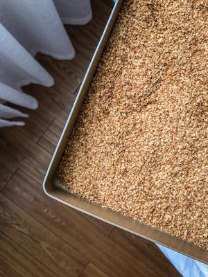 小麦胚芽烤制的做法 步骤3