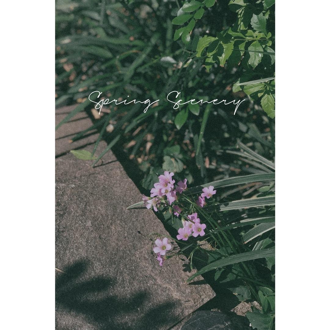 一些小美好