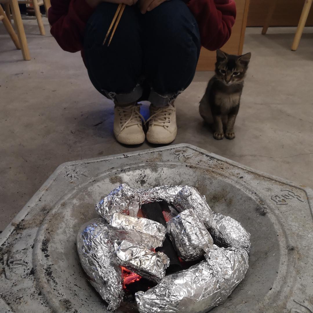 废材少女不会做饭