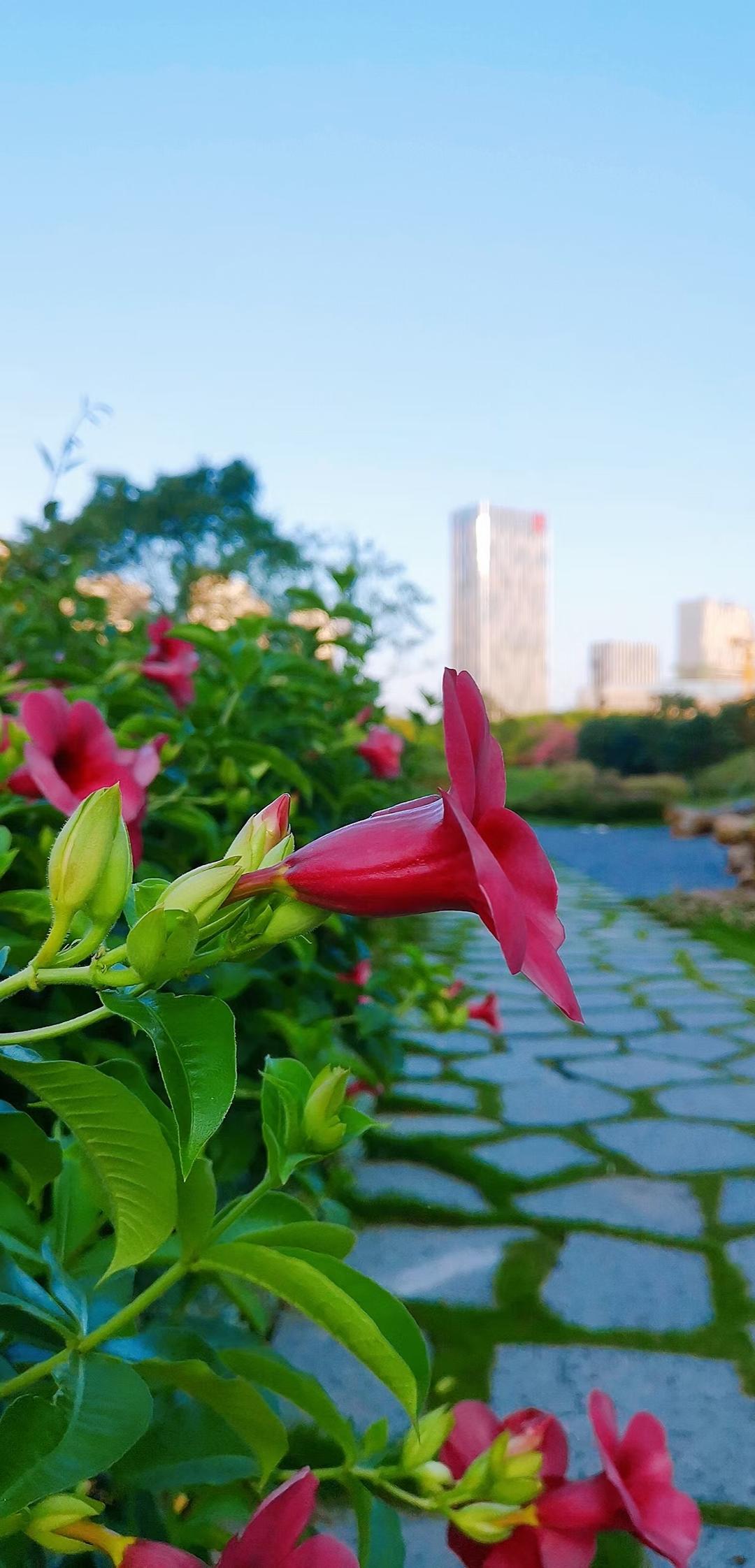 放飞心情畅游🏝️