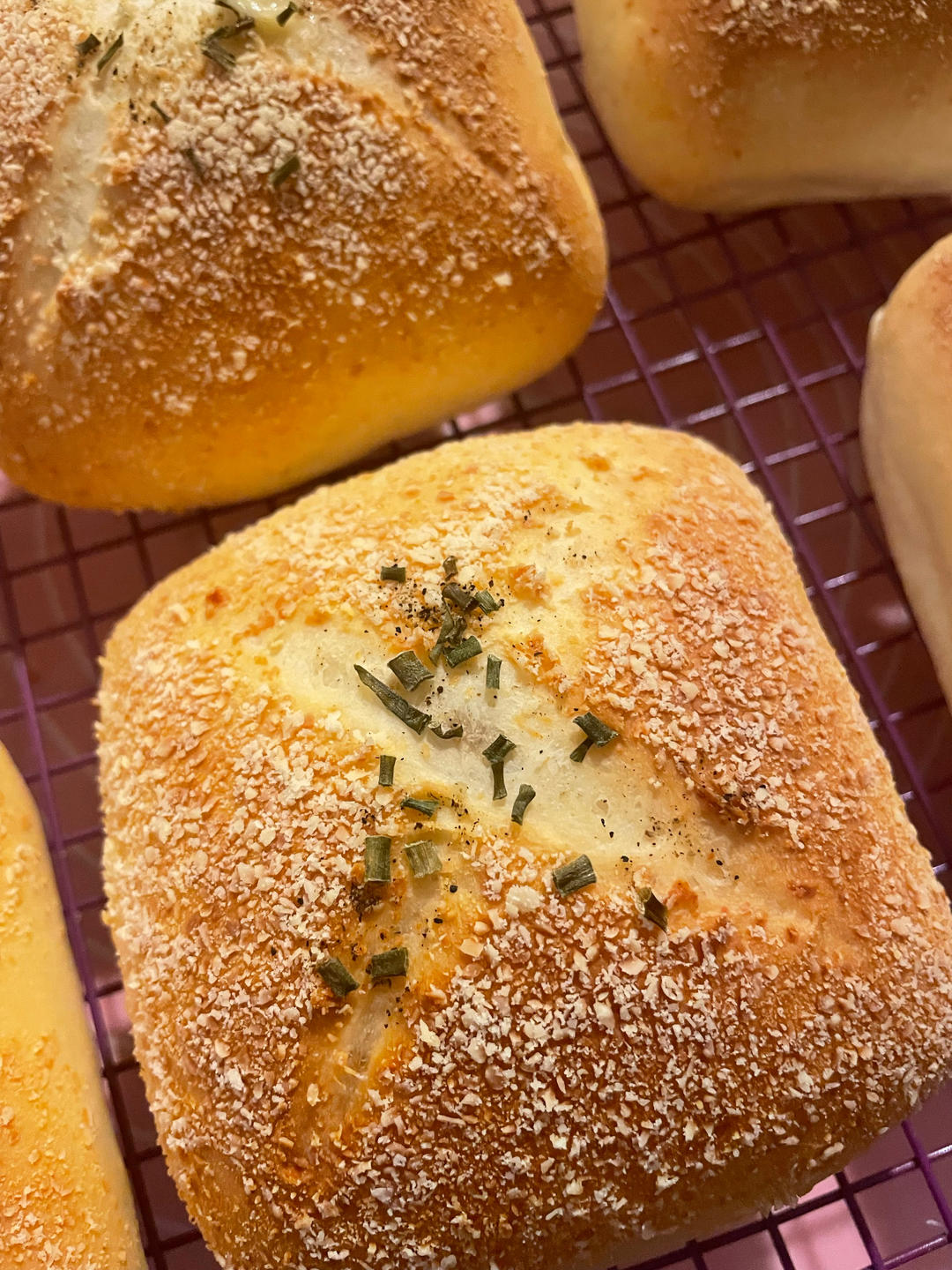 芝士熏鸡面包（万用方子）