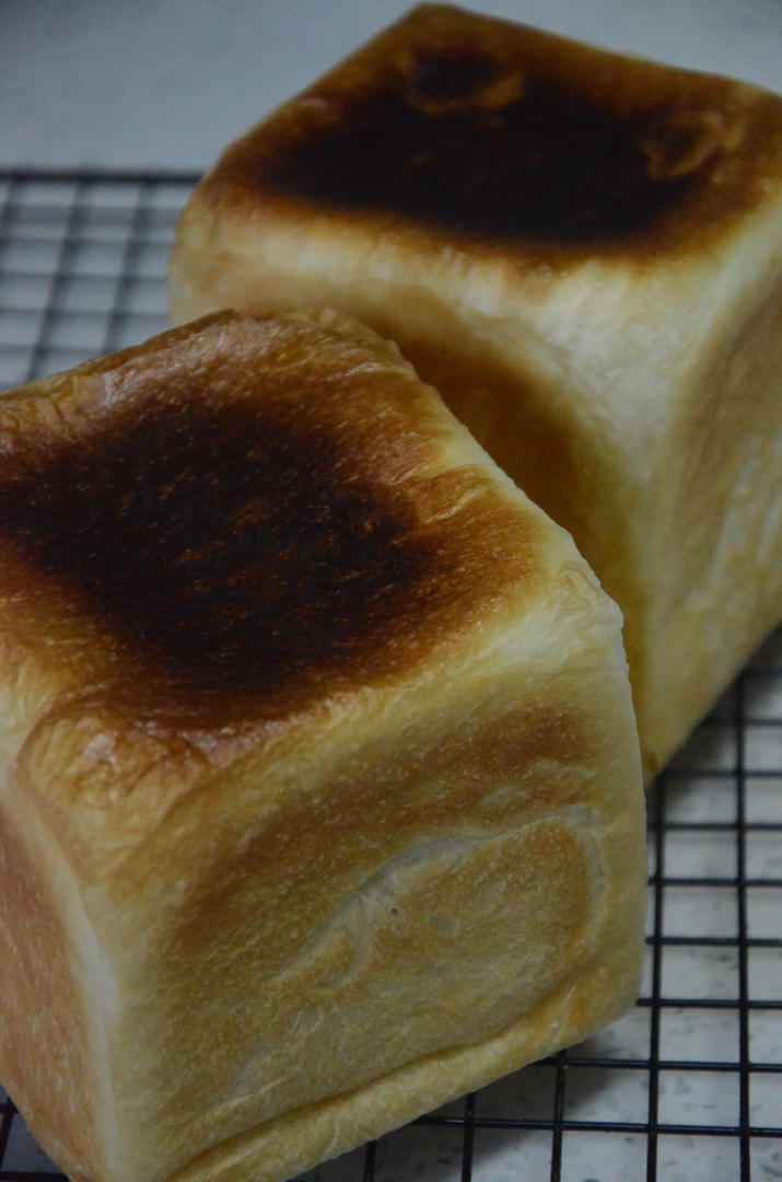 超柔软烫种生吐司（日本老师配方）