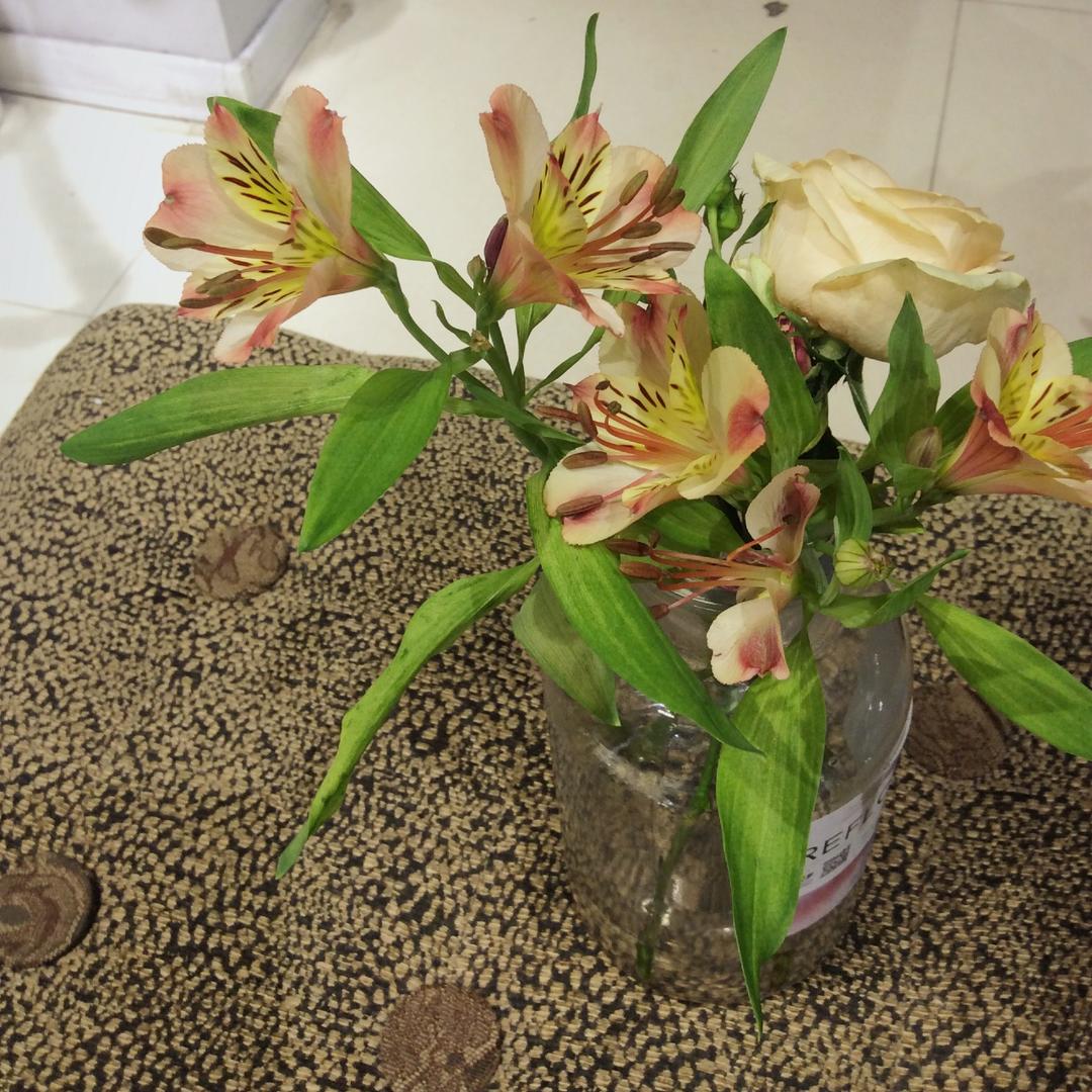 王妍_ldwr的厨房