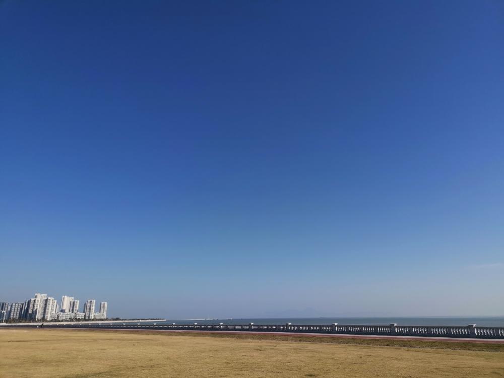 西红柿鸡蛋紫菜汤