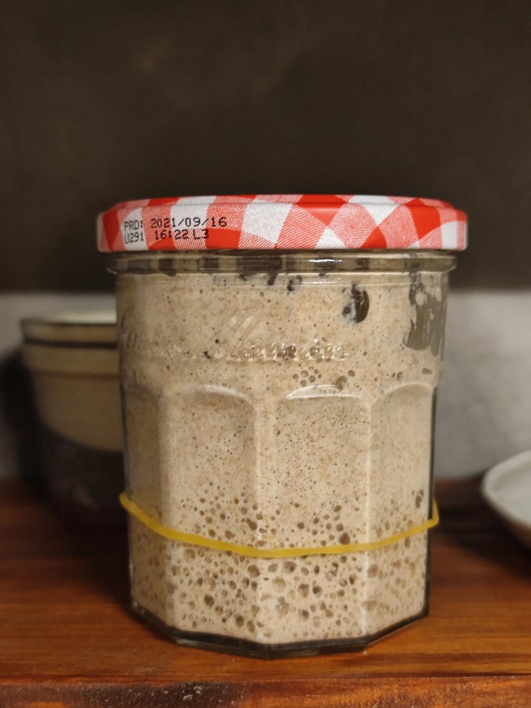 天然酵母鲁邦种培养日记（全麦面粉）成功