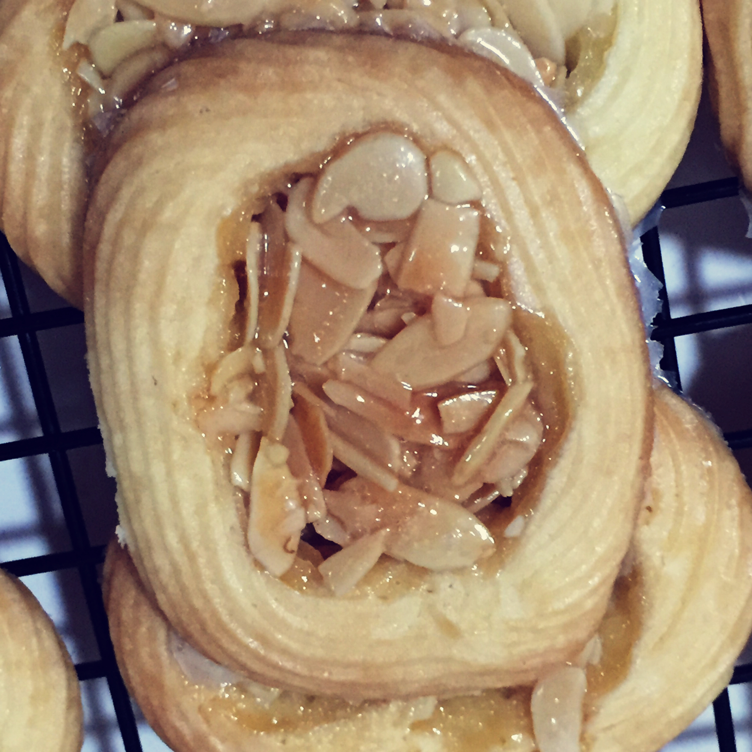 香香脆脆的——罗马盾牌饼干（视频菜谱）