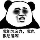 明天饺子馆
