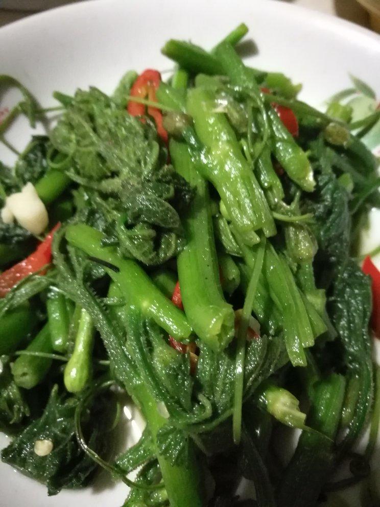 清炒南瓜藤