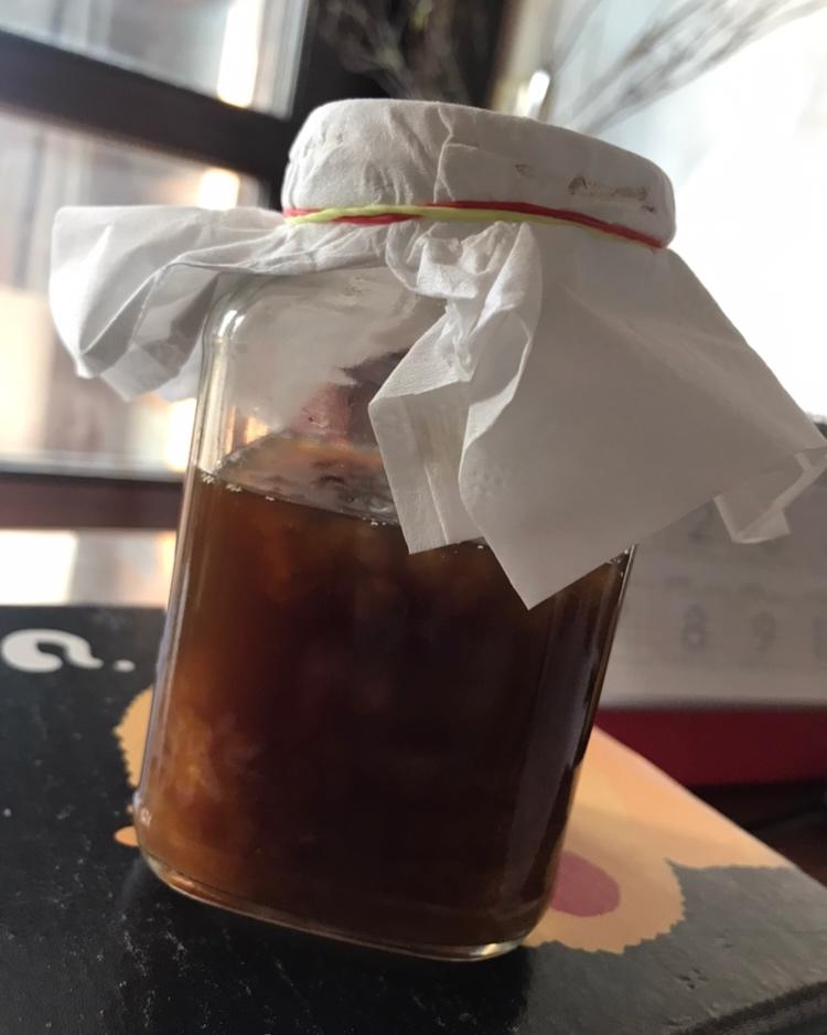 水开菲尔汽水丨喂养篇