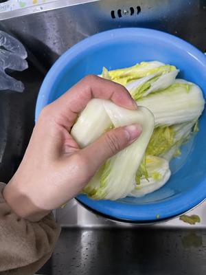 韩国泡菜🇰🇷韩国辣白菜的做法 步骤16